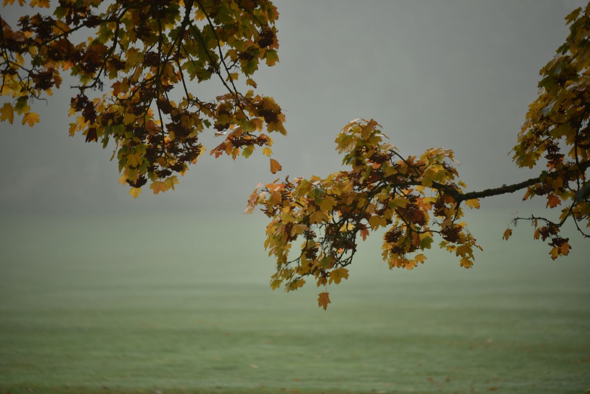 Some image