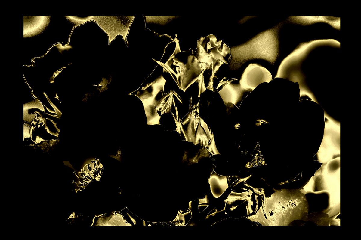 Some image